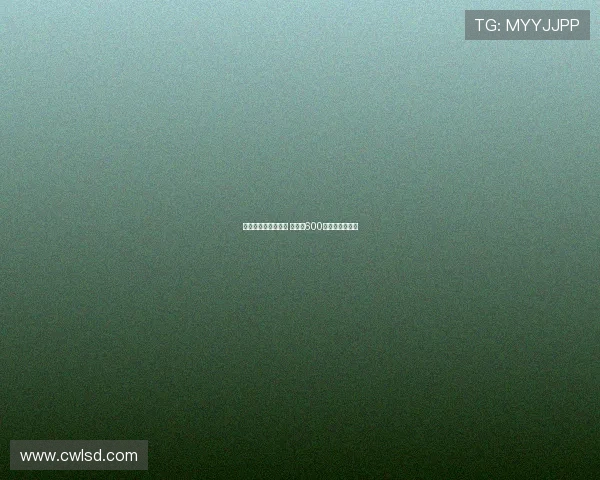 雷纳同意加盟帕尔马 多特对600万报价表示不满